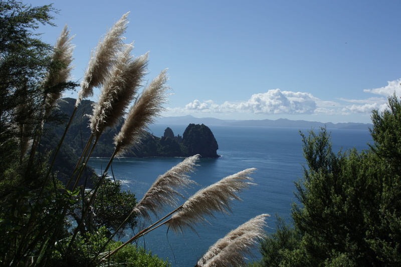 blue, non-urban scene, no people, horizon over water, day, nature, tranquil scene, outdoors, scenics - nature, horizon, water, sea, coromandel, land, growth