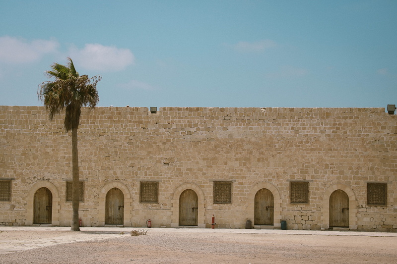 sky, arched door, palm tree, tropical climate, travel, doors, wall, nature, monument, history, landscape, tree, daylight, arch, ancient, ruined, day, archaeology