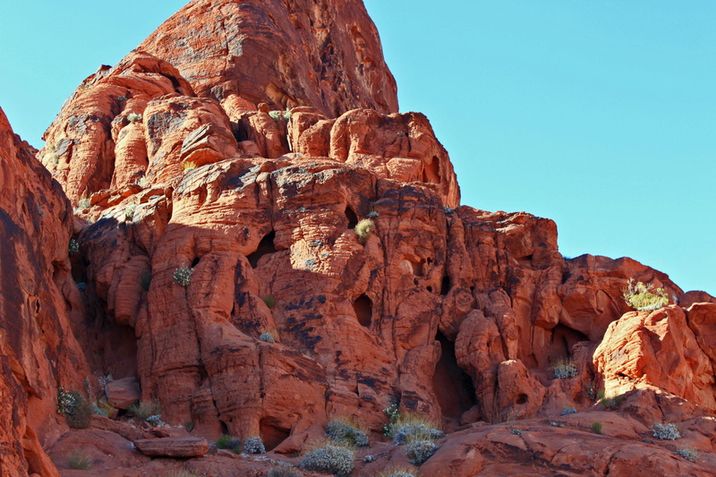 valley, valley of fire, desert, beautiful, nature, 3d and abstract, 1080P, brush, fire, flowers, blue sky