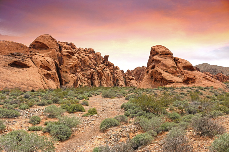 travel, valley, desert, environment, scenics - nature, mountain, sky, travel destinations, near, landscape, rock - object, solid, plant, arid, outdoors