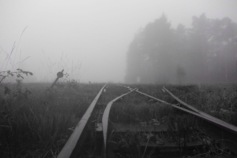 Gloomy, 1080P, cold temperature, Landscape, Moorland, land, seemed, day, environment, non-urban scene, grass, rail transportation, sky, train, tranquility