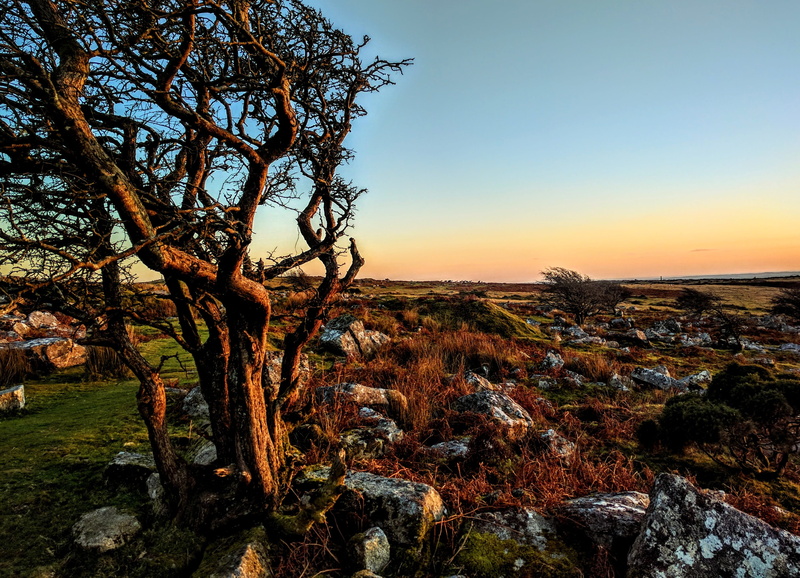 nature, sky, tranquility, Tree, growth, tranquil scene, landscape, environment, rock - object, scenics, land, solid, Lonely, plant, rock, no people, autumn