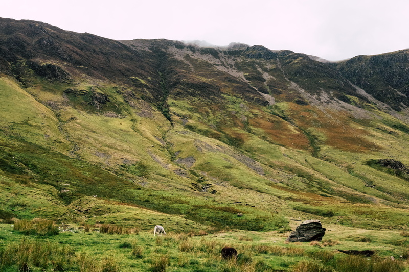 5K, outdoors, europe, meadow, mist, moorland, hill, fog, rural Scene, travel, sheep, rock, green, sky, tourism, no People, honister pass, valley, landscape