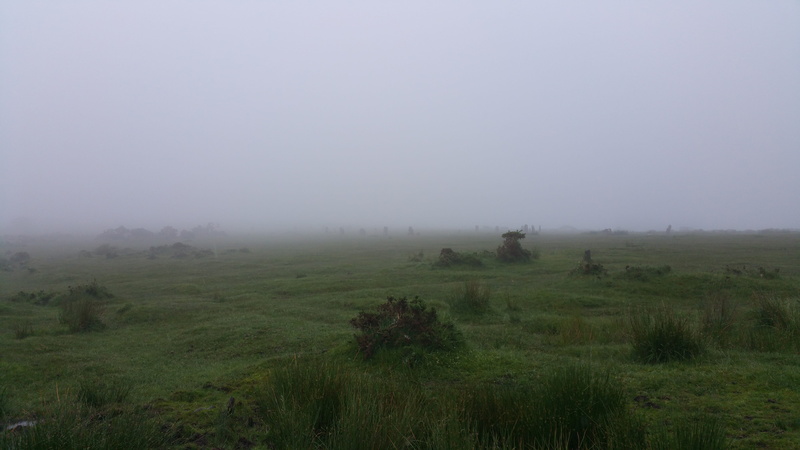 5K, tranquil scene, land, cornwall, outdoors, sky, no people, rural scene, nature, Moody, windswept, agriculture, Fog, morning, tranquility, scenics - nature