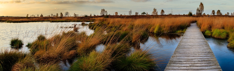 dock, tranquility, abendstimmung, national park, panoramic, the way forward, no people, scenics - nature, outdoors, moor, landscape, mood, high fens, veen
