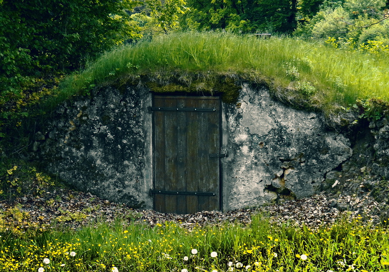 building, house, 5K, front, wooden door, green, stones, field, built structure, door, day, landscape, masonry, plant, natural cellar, brown, closed, grass
