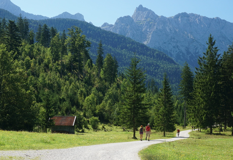 forest, summer, karwendel, hut, mtb, mountain, non-urban scene, rear view, men, land, growth, tranquility, real people, day, idyllic, sunshine, tranquil scene