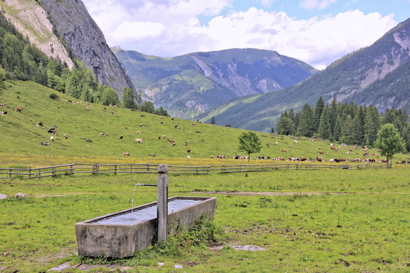 mountains, day, mountain summit, scenics - nature, ahornboden, 5K, field, nature, landscape, hill, land, travel, plant, cloud - sky, vision, austria, tree
