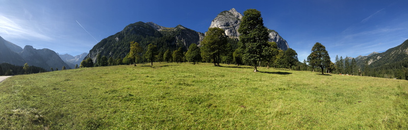 no people, pine tree, travel, wood, eng, coniferous tree, karwendel, mountain, pine woodland, panorama, mountain peak, plant, beauty in nature, meadow