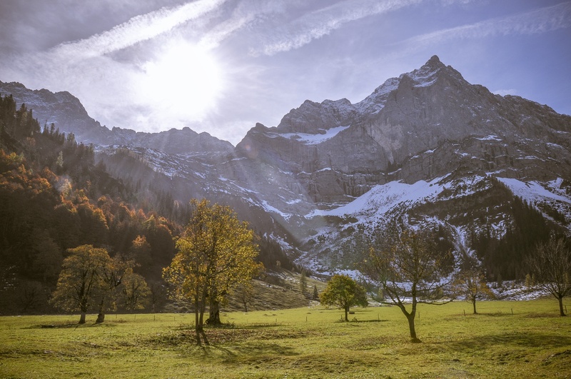 bright, non-urban scene, eng, sunlight, 4K, outdoors, lighting, alpine, grass, land, autumn, tranquil scene, coniferous tree, back light, landscape, beauty in nature