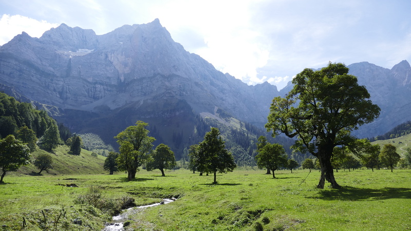 mountain peak, environment, mountains, mountain range, summer, hill, land, rural, alpine, growth, 5K, landscape, cloud - sky, panorama, meadow, scenics - nature