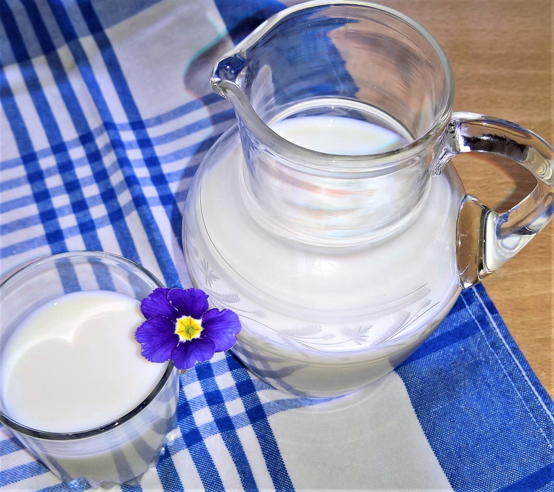 tablecloth, close-up, delicious, flowering plant, food and drink, calcium, glass mug, in between, of course, container, milk, drinking glass, 2K, household equipment