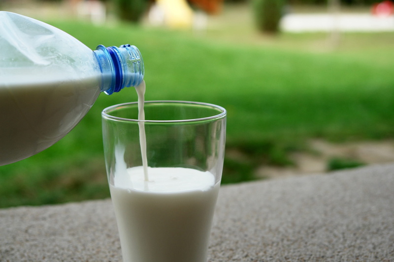 natural, texture, eating, drinking, calcium, outdoors, organic, yummy, Goat, grass, wellbeing, person, Drink, food and drink, glass, milk bottle, nature