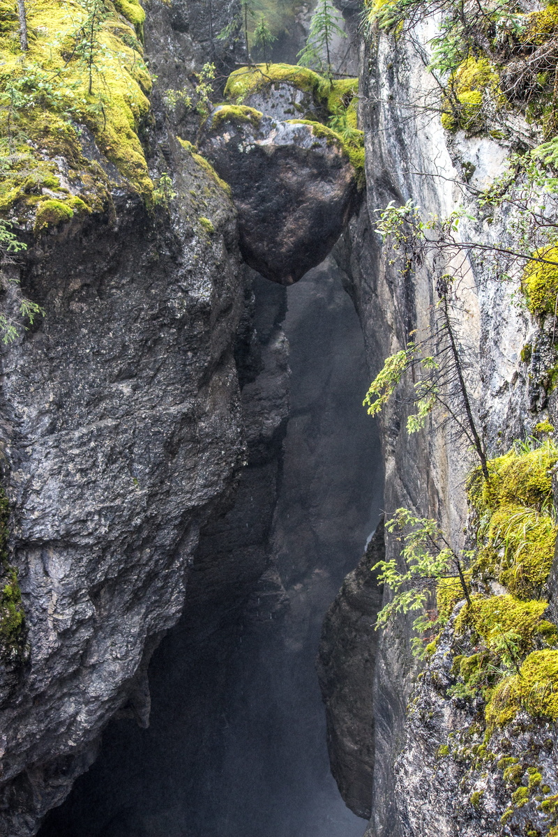natural, tree, valley, steep, moss, erosion, flowing water, green, rock - object, 5K, forest, alberta, boulder, suspended, canyon, jasper, growth, water