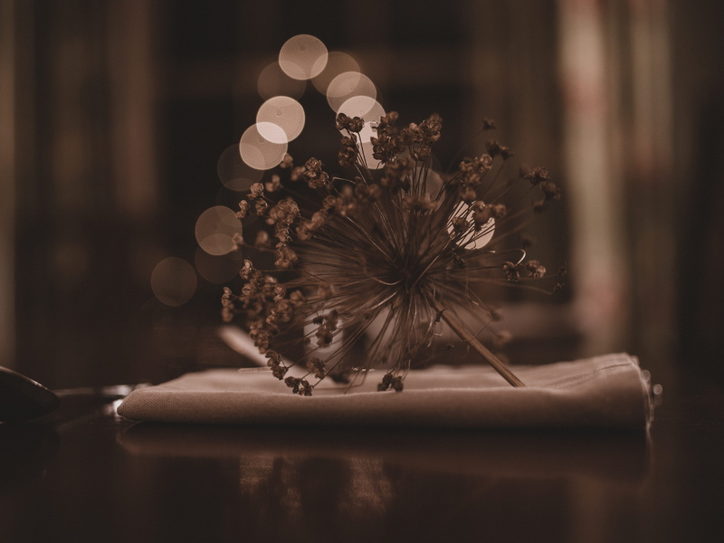 clothing, illuminated, holiday, produce, close-up, christmas ornament, christmas decoration, table, vegetable, confectionery, weed, pollen, word, seed