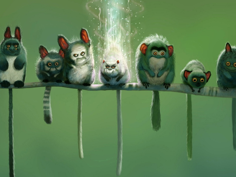 artwork, lemurs, 1080P