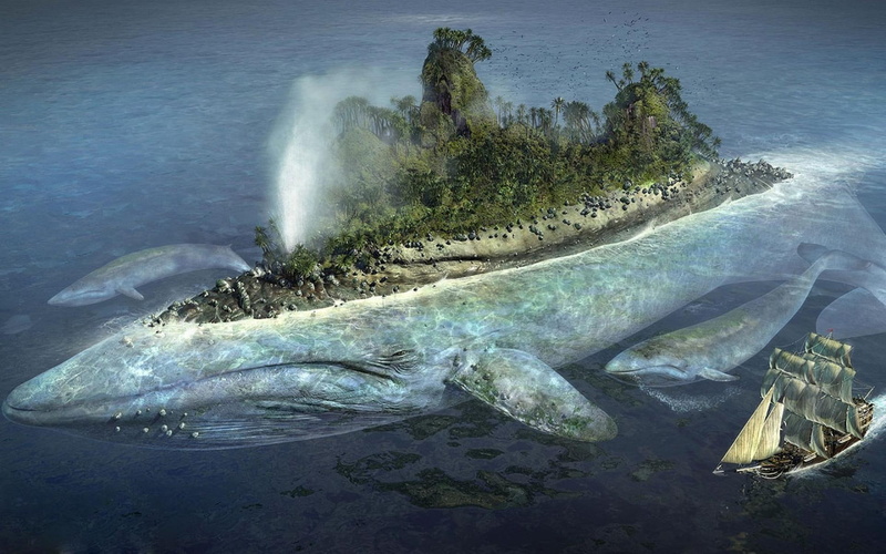 paradise, green, cool, interesting, travelling, neat, ship, travel, 1080P, whale, animals, fantasy, ocean, island