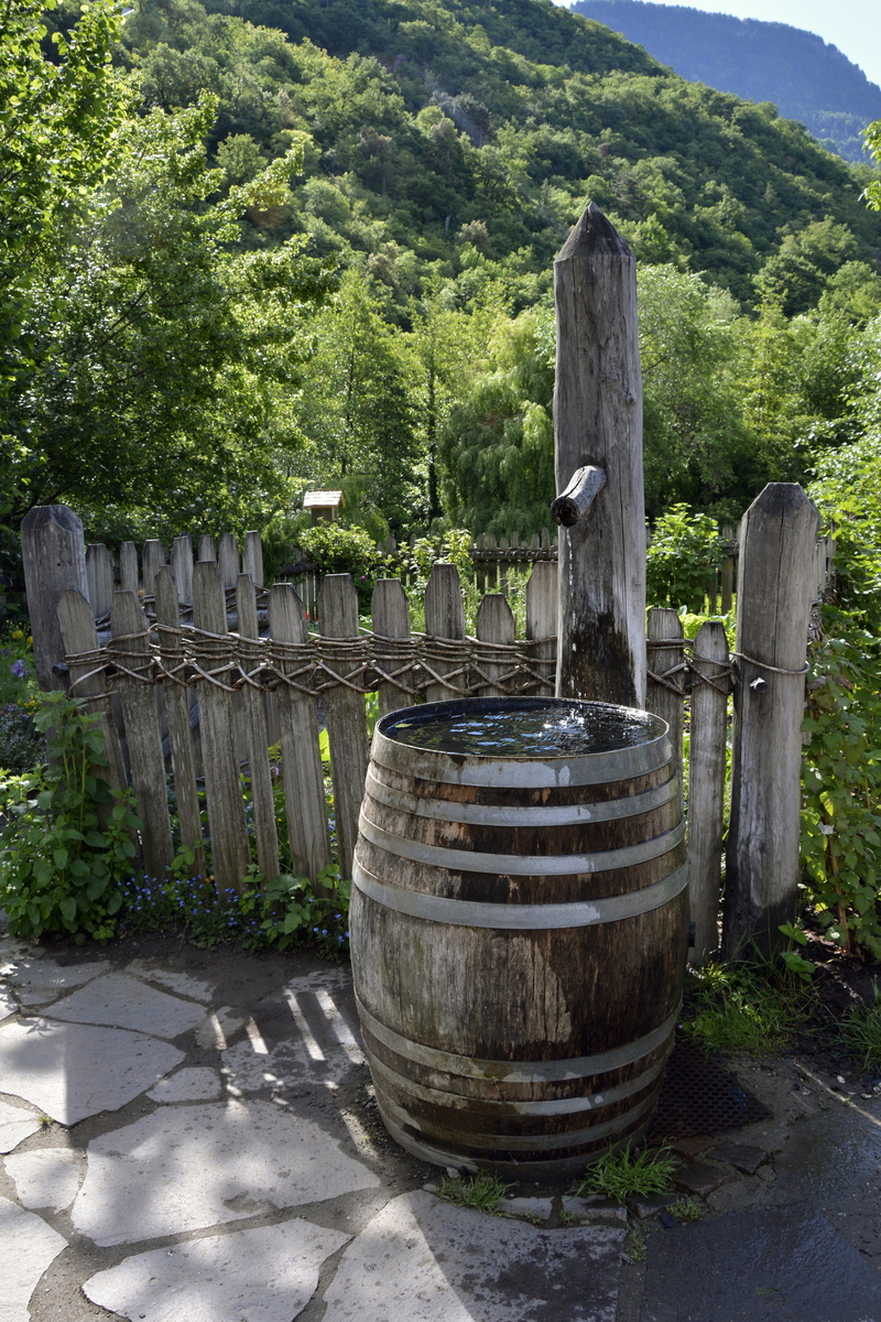 wood - material, decoration, water, history, nature, beauty in nature, sunlight, shadow, architecture, no people, plant, growth, wooden barrels, water tank