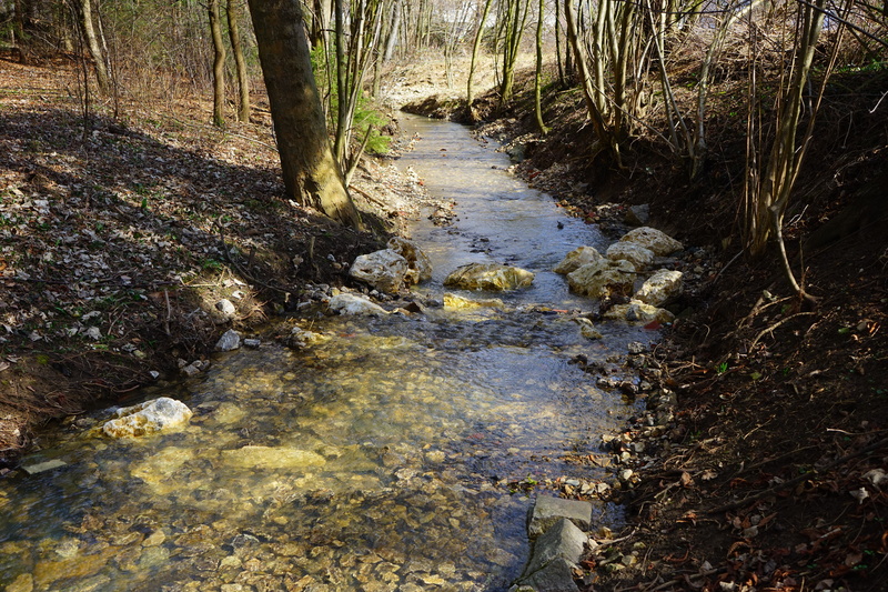 tranquil scene, downloading, scenics - nature, water, shallow, stream bed, bank, flowing water, outdoors, trunk, flow, flowing, tranquility, sweet, creek