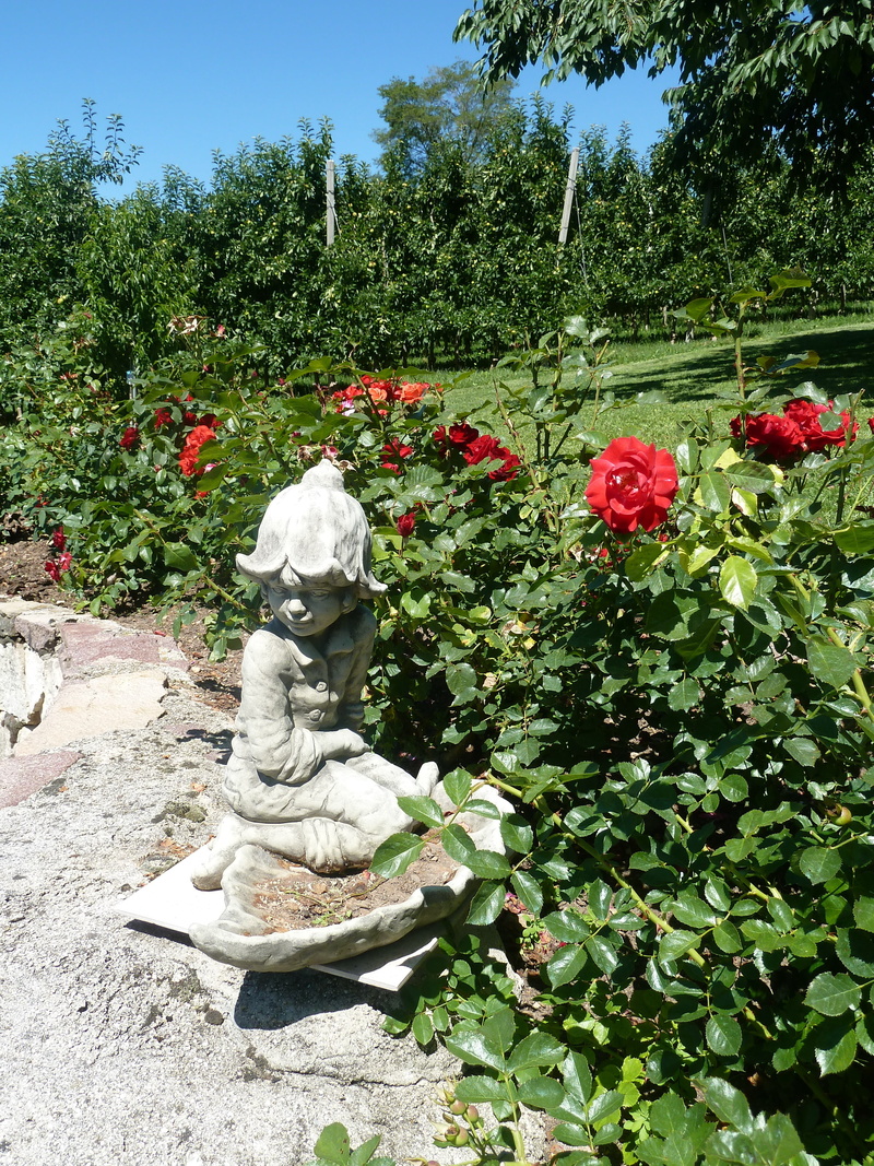 bed of roses, park, nature, 4K, stone figure, flowering plant, art and craft, representation, plant, red, human representation, garden, green color, outdoors
