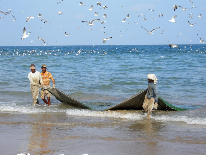 three, indian ocean, beach, scenics - nature, fishnet, horizon, bird, 1080P, Sea, two people, land, Fishermen, men, birds, water, fishing net, oman, nature