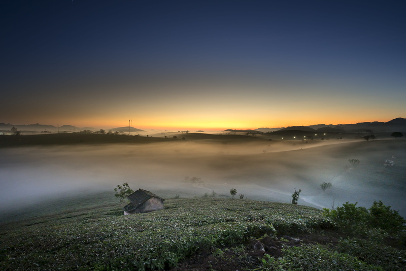 fog, fresh, nature, page, tea, grasses, background, outdoors, the field, water, the hill, home, high land, morning, the sun, tree, the son, summer, province