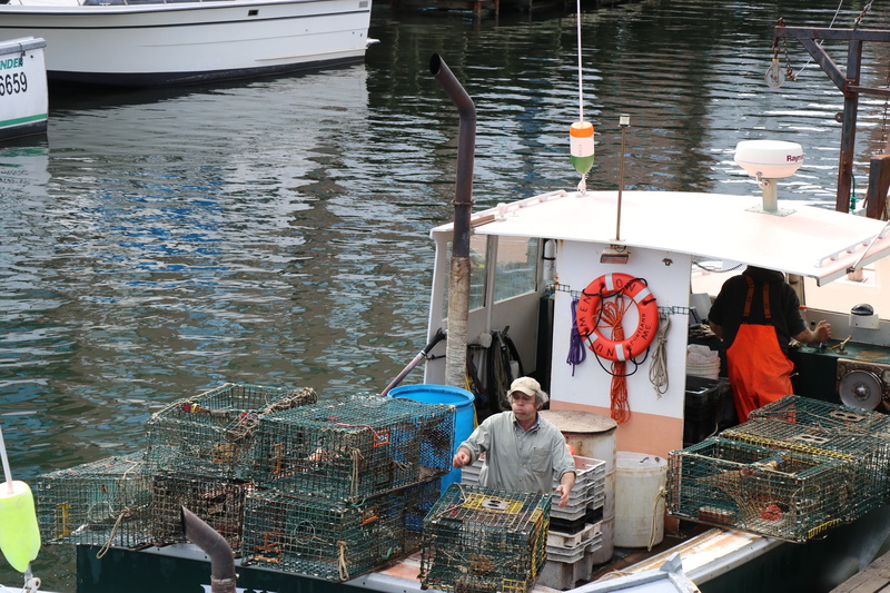lobster fishing boat, cage, lifestyles, fishermen, ocean, coast, day, outdoors, adult, marine, atlantic, nautical vessel, fishing, summer, sea, fishing industry