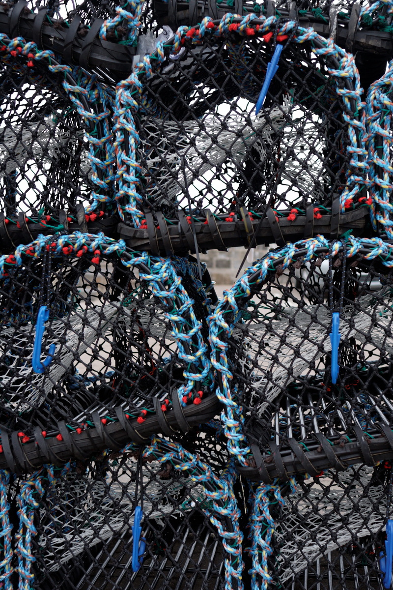 seafood, pier, fishing net, basket, marine, no people, backgrounds, variation, coast, equipment, choice, outdoors, harbour, full frame, retail, large group of objects