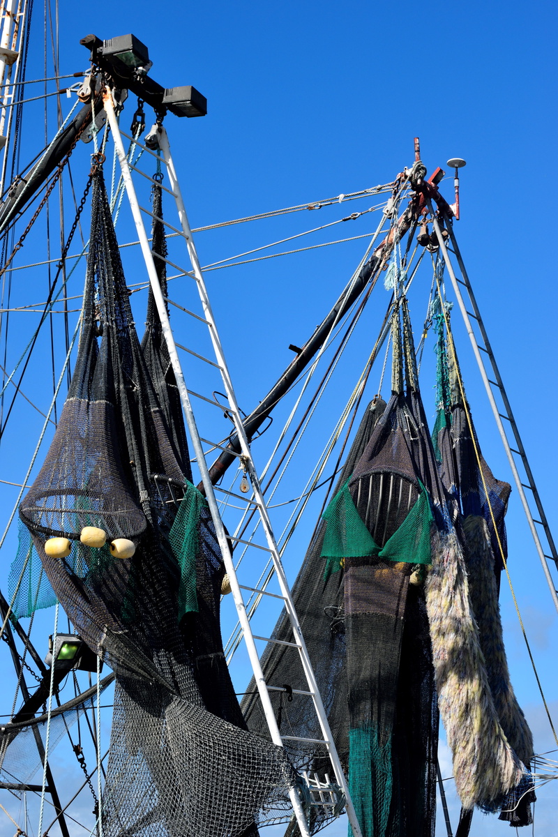 sea, mast, transportation, ocean, equipment, pole, sunlight, industry, day, shrimp nets, food, coast, mode of transportation, fuel and power generation