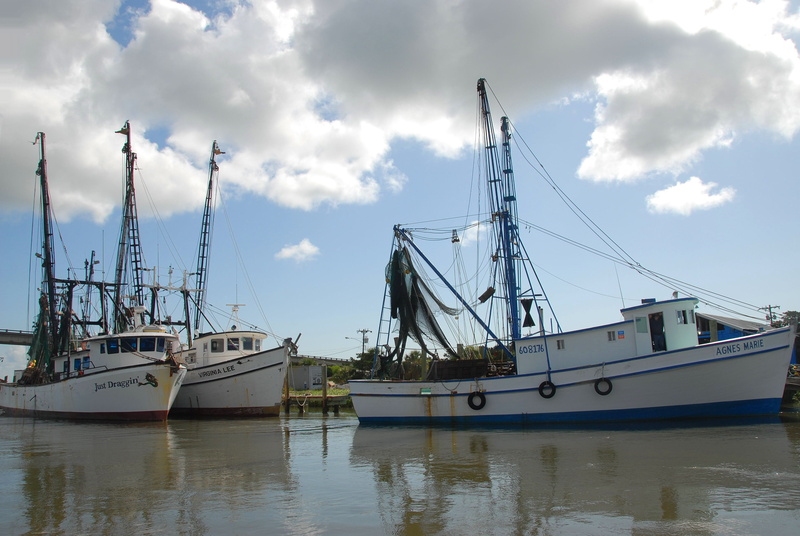 fish, marine, vessel, sea, industry, shrimp, commercial, rigging, equipment, Shrimp Boat, transportation, mode of transportation, 4K, boat, fishnet, nautical