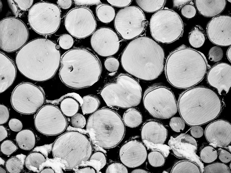 large group of objects, lumber industry, design, backgrounds, trunk, circle, day, firewood, log, 4K, fuel and power generation, close-up, timber, no people