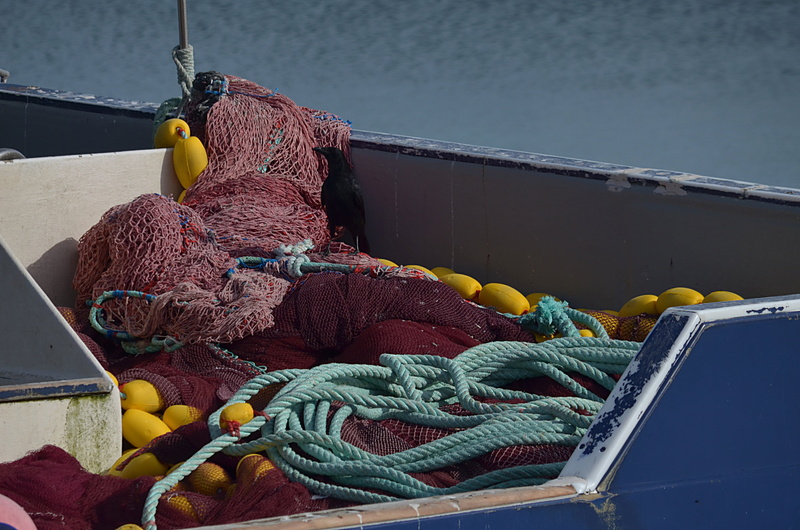 docks, netting, day, fishing boat, color, rope, marin, rod, fishing net, trades, outdoors, fisherman boat, fishing industry, fisherman, nautical vessel
