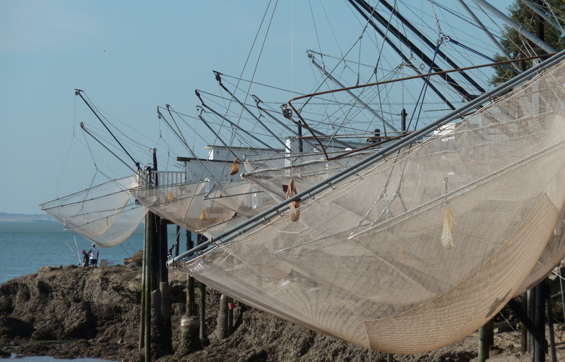 fishing industry, beach, sky, mode of transportation, nautical vessel, nature, water, fishing boat, fishing, transportation, sailboat, sea, moored, mast