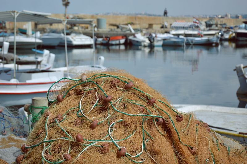 fishing boat, port, moored, focus on foreground, pier, mode of transportation, fishing industry, fishing, outdoors, harbor, fishing rod, nature, day, no people