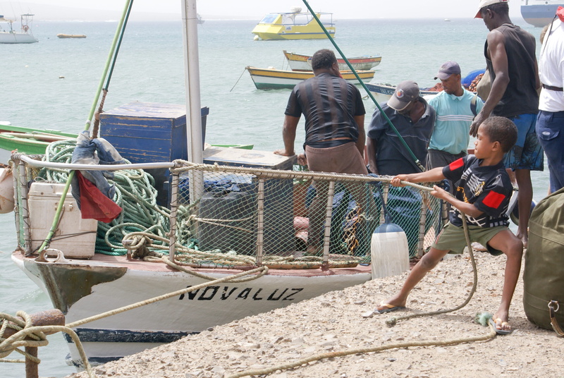 fishing, sea, nature, mode of transportation, commercial fishing net, group of people, fishing net, casual clothing, outdoors, fishing industry, catch of fish