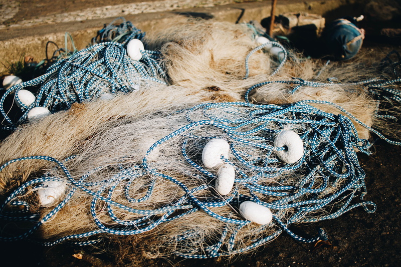 commercial fishing net, net, animal themes, land, high angle view, fishing net, 4K, fishing industry, vertebrate, white, fishing, close-up, no people