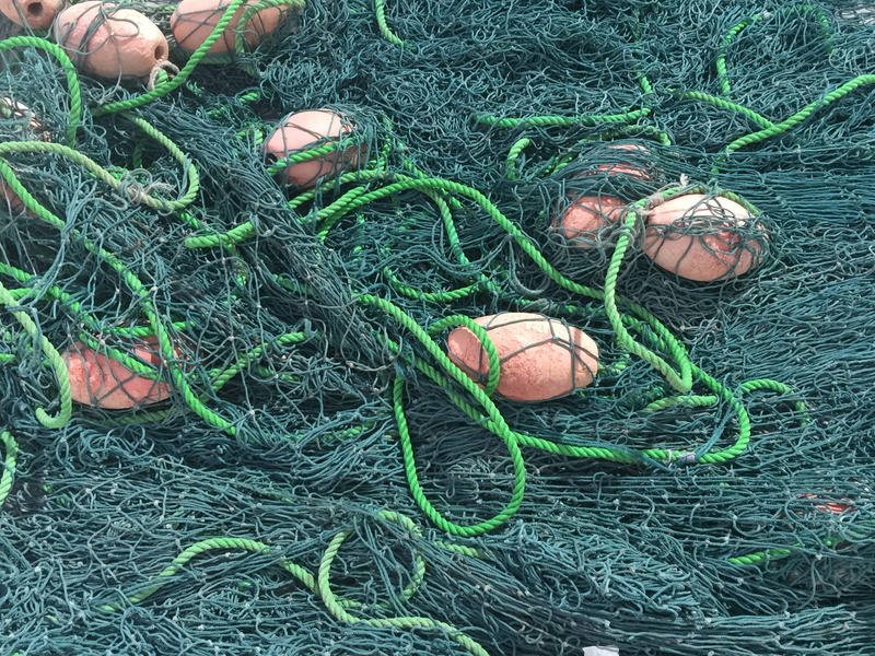 grass, rope, plant, commercial fishing net, fishing, fishing rod, high angle view, 2K, nature, no people, muscat, fishing net, land, fishing nets, green color
