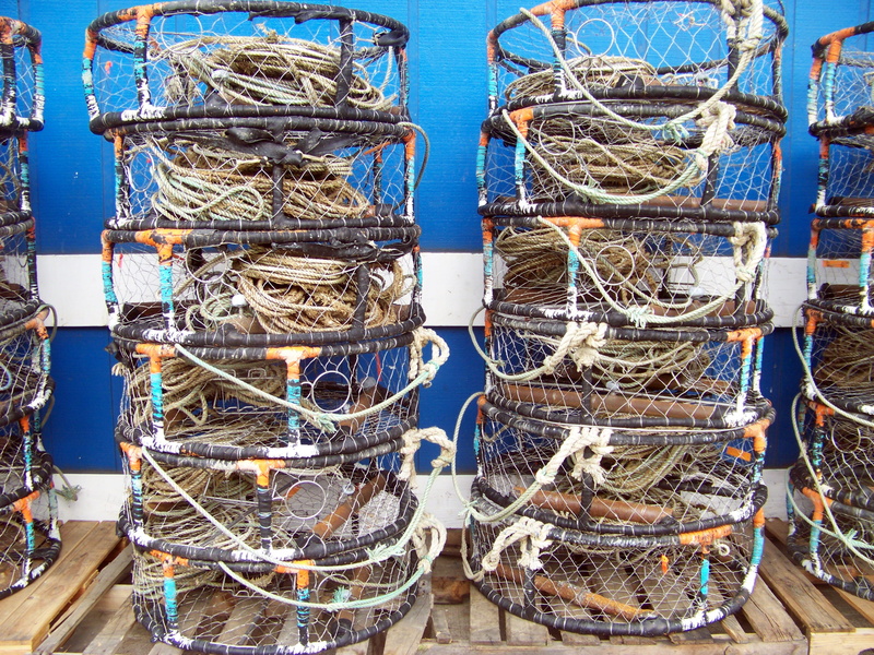 newport, water, oregon, tied up, rope, side by side, pots, rod, sea, full frame, day, no people, harbor, complexity, connection, fishing industry, 2K