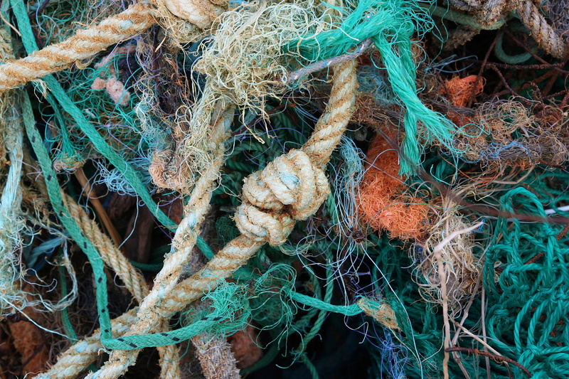 complexity, close-up, land, 2K, full frame, flotsam, backgrounds, fishing rod, nature, tangled, growth, all, outdoors, web, fishing industry, no people