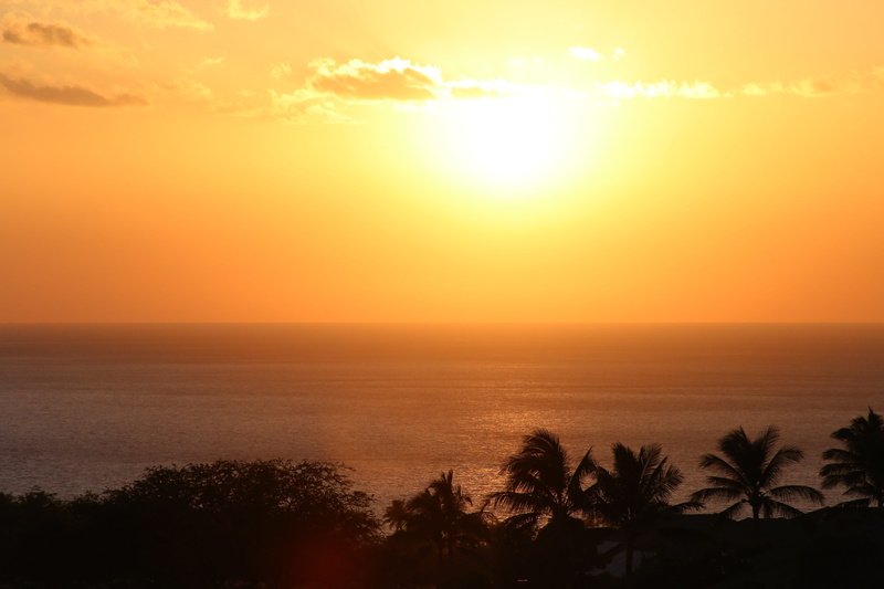 horizon, tree, clouds, silhouette, sea, hawaii, water, cloud - sky, tropical, outdoor, coast, lens flare, sun, vacation, sky, tropical climate, no people