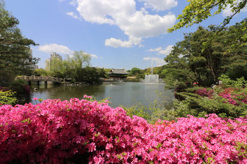 flower, tourism, vacation, travel, flower road, flowering plant, s can tho festival, growth, landscape, cloud - sky, dating, nail, freshness, youtube, lake