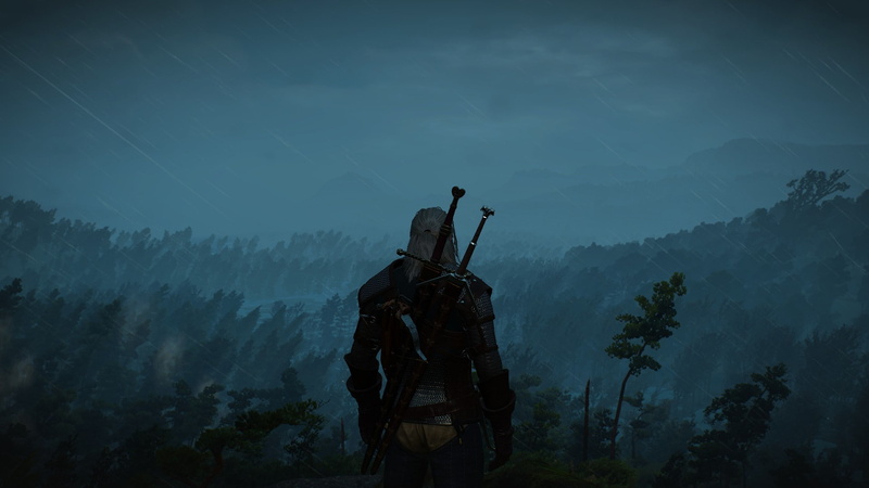 Geralt Of Rivia, The Witcher, The Witcher 3: Wild Hunt, 1080P, Velen