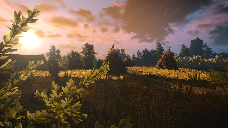 CD Projekt RED, Geralt of Rivia, video games, The Witcher, Velen, The Witcher 3: Wild Hunt, 1080P, The White Wolf, The Witcher 3, screen shot
