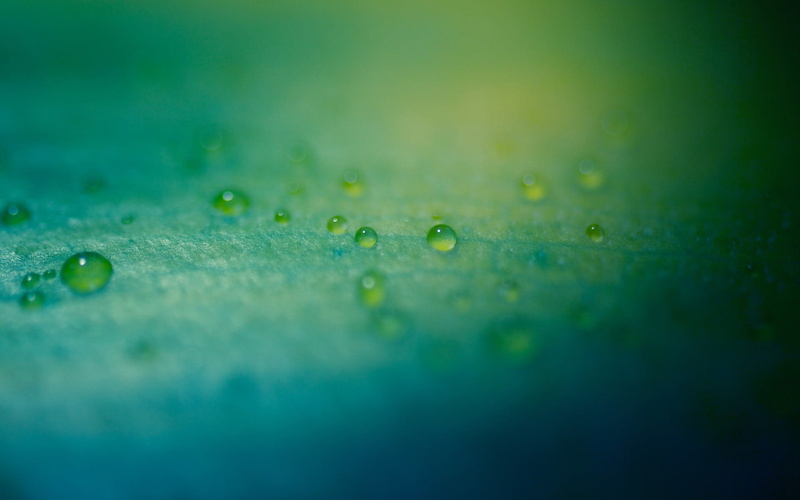backgrounds, abstract, purity, blade of grass, dew, soft focus, water drops, textured, liquid, outdoors, environment, macro, color Image, selective focus