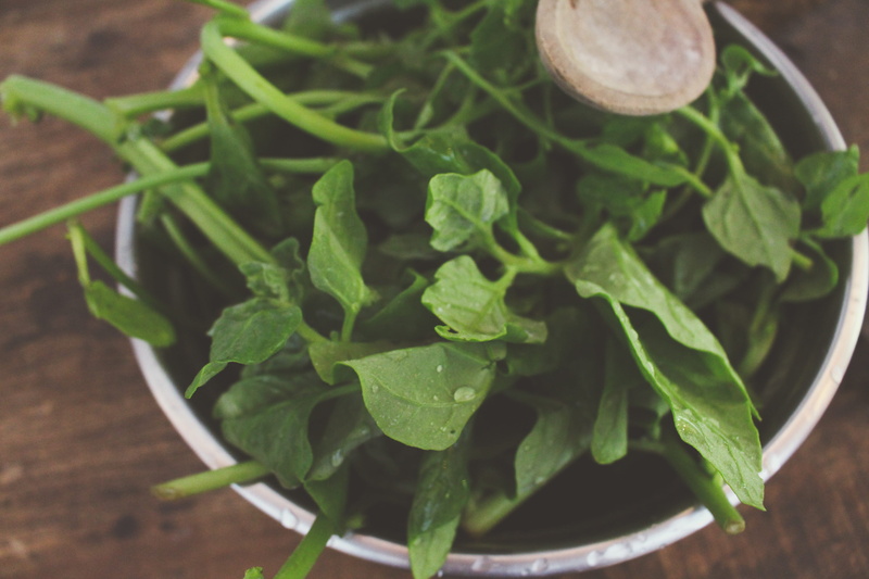 cook, freshness, 5K, herb, cooking, healthy eating, mint leaf - culinary, food, arugula, green, leaf, salad, selective focus, rustic, wellbeing, food and drink