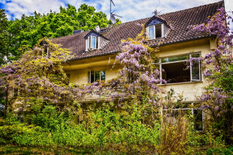 old, lost places, outdoors, covered, villa, mood, old building, forget, built structure, house, day, facade, lapsed, flowers, pforphoto, beauty in nature