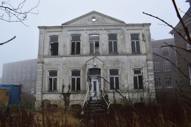 run-down, haze, seedy, no people, window, abandoned, dilapidated, sky, 5K, nature, architecture, bare tree, house, damaged, building exterior, obsolete