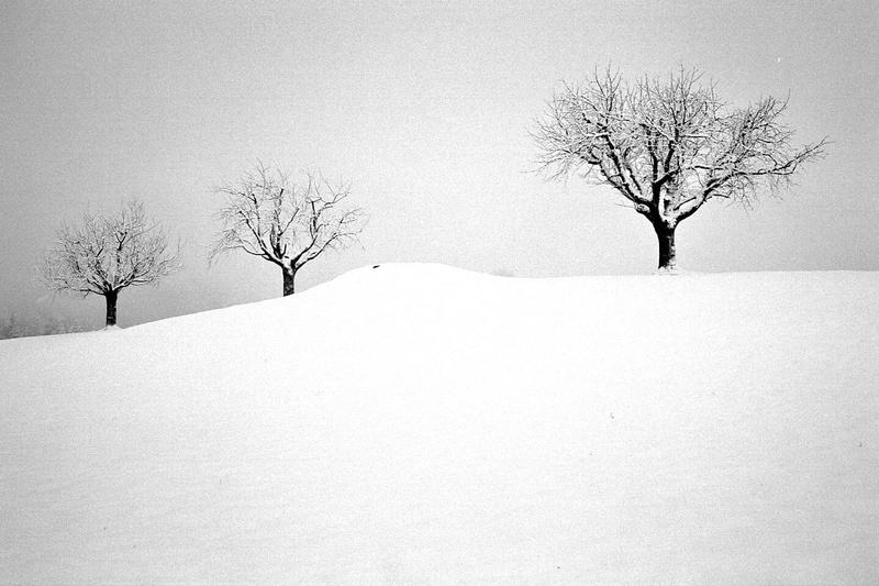 photography, time, Ilford, black And White, 720P, three, nature, Hütten, white, trees, winter, tree, snow, outdoors, blackandwhite, season, rural Scene