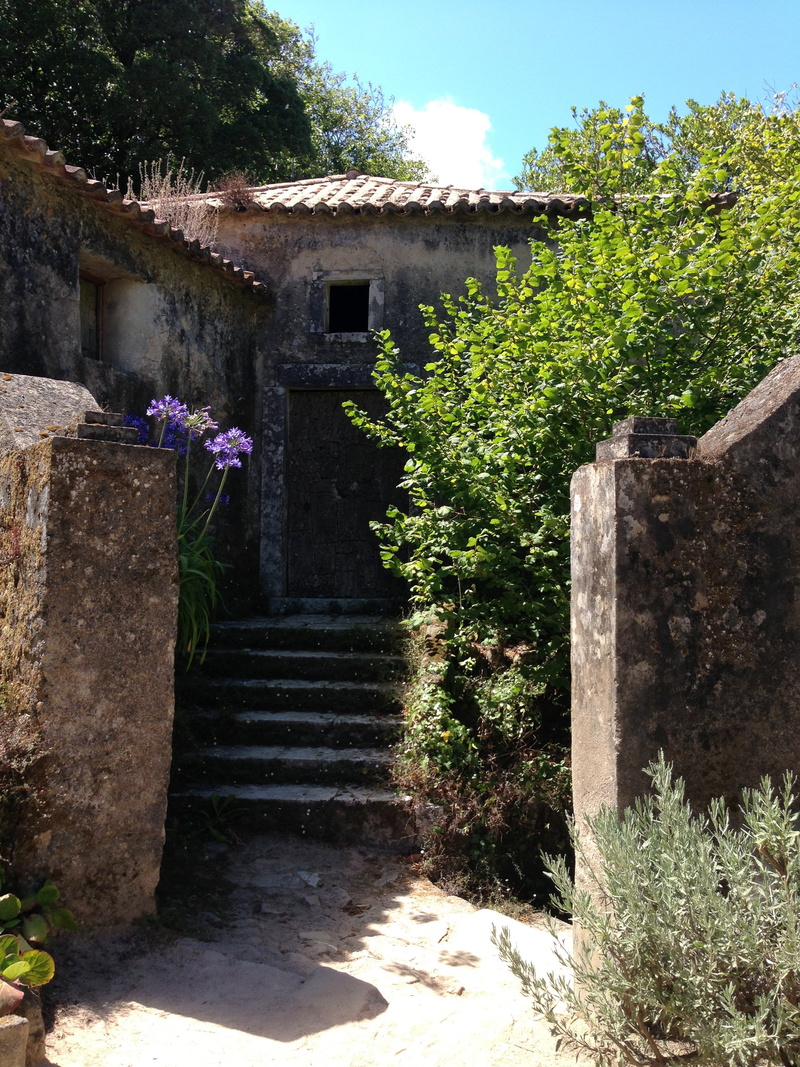plant, middle ages, shadow, architecture, building, flower, monastery, house, staircase, outdoors, stone wall, input, flowering plant, sky, growth, nature