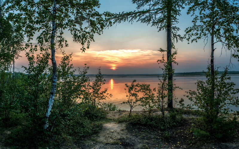 sunset, beach, birch, plant, bushesh, green, 2K, leaf, trees, bushes, lake